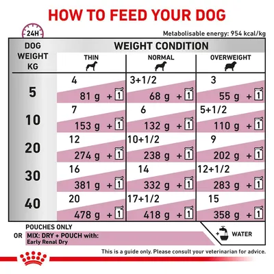 Feeding guide for dogs by weight (5–40 kg) and condition: thin, normal, overweight. Shows daily grams plus pouches to feed. Includes note: add water. Metabolisable energy: 954 kcal/kg.