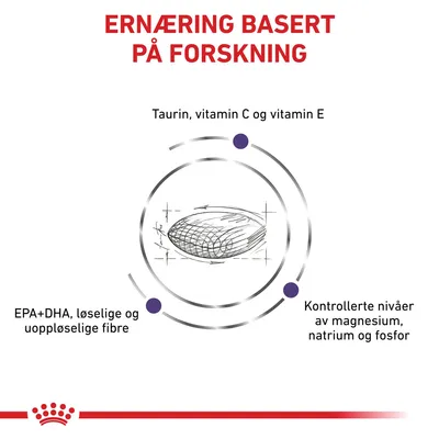 Royal Canin Expert Feline Adult