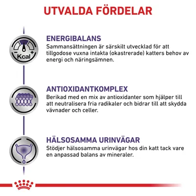Utvalda fördelar: energibalans, antioxidantkomplex och hälsosamma urinvägar för vuxna intakta katter. Text om energi, antioxidanter och mineralbalans synlig.