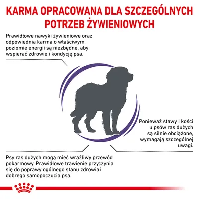 Karma opracowana dla szczególnych potrzeb żywieniowych psów ras dużych. Informacje o zdrowiu, trawieniu i stawach. Siluetka psa, tekst o wymaganiach żywieniowych. Karma opracowana dla szczególnych potrzeb żywieniowych psów ras dużych. Informacje o zdrowiu, trawieniu i stawach. Siluetka psa, tekst o wymaganiach żywieniowych.