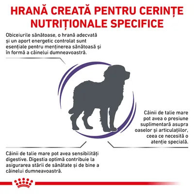 HRANĂ CREATĂ PENTRU CERINȚE NUTRIȚIONALE SPECIFICE. Câinii de talie mare pot avea sensibilități digestive și presiune suplimentară asupra oaselor și articulațiilor. Text în limba română.