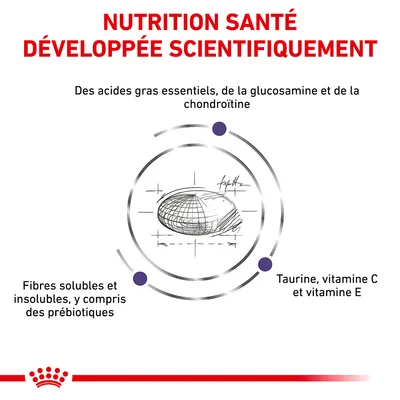 NUTRITION SANTÉ DÉVELOPPÉE SCIENTIFIQUEMENT. Acides gras essentiels, glucosamine, chondroïtine, fibres solubles et insolubles avec prébiotiques, taurine, vitamine C et E.