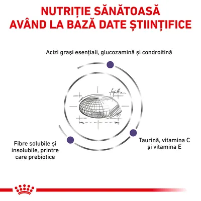 Nutriție sănătoasă având la bază date științifice. Acizi grași esențiali, glucozamină și condroitină. Fibre solubile și insolubile, printre care prebiotice. Taurină, vitamina C și E.