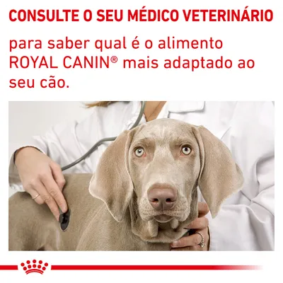 Consulte o seu médico veterinário para saber qual é o alimento ROYAL CANIN mais adaptado ao seu cão.