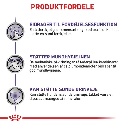 PRODUKTFORDELE: Bidrager til fordøjelsesfunktion, støtter mundhygiejnen, kan støtte sunde urinveje. Tekst om præbiotika, calcium, mineraler og deres funktioner for hunde.