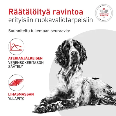 Grafiikka, jossa teksti: Räätälöity ravinto erityisiin ravitsemustarpeisiin. Tukee verensokerin säätelyä aterian jälkeen ja lihasmassan säilymistä. Grafiikka, jossa teksti: Räätälöity ravinto erityisiin ravitsemustarpeisiin. Tukee verensokerin säätelyä aterian jälkeen ja lihasmassan säilymistä.