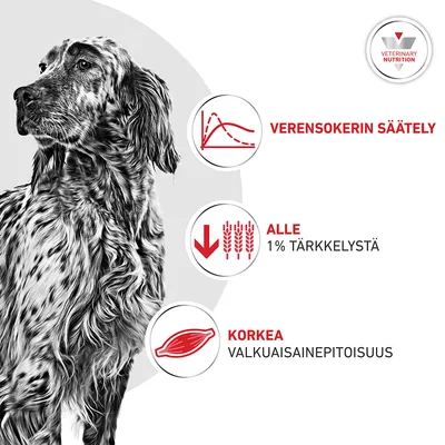 Grafiikka, jossa on koira, symboleja ja teksti: Verensokerin säätely, alle 1 % tärkkelystä, korkea proteiinipitoisuus, Veterinary Nutrition. Grafiikka, jossa on koira, symboleja ja teksti: Verensokerin säätely, alle 1 % tärkkelystä, korkea proteiinipitoisuus, Veterinary Nutrition.