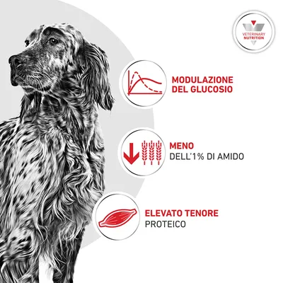Royal Canin Veterinary Canine Glycobalance Paté Royal Canin Veterinary Canine Glycobalance Paté