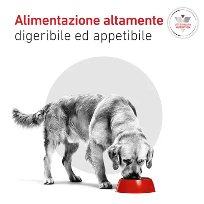 Royal Canin Veterinary Canine Glycobalance Paté Royal Canin Veterinary Canine Glycobalance Paté