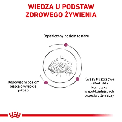 Wiedza u podstaw zdrowego żywienia. Ograniczony poziom fosforu, odpowiedni poziom białka o wysokiej jakości, kwasy tłuszczowe EPA+DHA i kompleks przeciwutleniaczy.