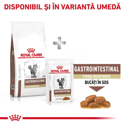 Royal Canin Gastrointestinal Fibre Response pentru pisici, disponibil și în variantă umedă. Pachet uscat și plic umed cu text: GASTROINTESTINAL FIBRE RESPONSE BUCĂȚI ÎN SOS.