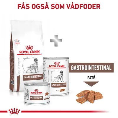 Royal Canin Veterinary Gastrointestinal tør- og vådfoder til hund, dåser med tekst 'GASTROINTESTINAL PATÉ', synlig paté. Tekst øverst: 'Fås også som vådfoder'.