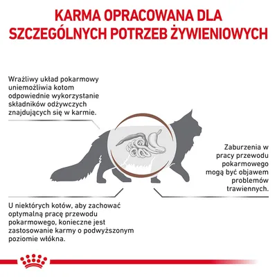 Karma opracowana dla szczególnych potrzeb żywieniowych kotów; tekst o wrażliwym układzie pokarmowym, konieczności podwyższonego poziomu włókna i problemach trawiennych.
