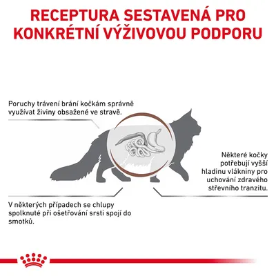 Receptura sestavená pro konkrétní výživovou podporu. Poruchy trávení, potřeba vyšší hladiny vlákniny a tvorba smotků chlupů u koček. Ilustrace trávicího traktu kočky.