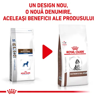 Imagine cu două pungi Royal Canin: Gastro Intestinal Junior și noul design Gastrointestinal Puppy. Text: Un design nou, o nouă denumire, aceleași beneficii ale produsului.