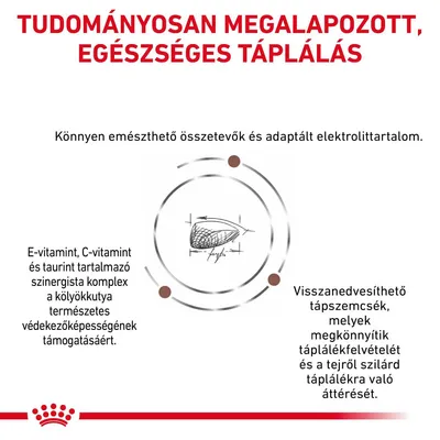 TUDOMÁNYOSAN MEGALAPOZOTT, EGÉSZSÉGES TÁPLÁLÁS. Könnyen emészthető összetevők, adaptált elektrolittartalom, E- és C-vitamin, taurin, visszanedvesíthető tápszemcsék leírása látható.