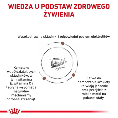 Wiedza u podstaw zdrowego żywienia. Wysokostrawne składniki, odpowiedni poziom elektrolitów, witamina E, C i tauryna wspierają odporność szczeniąt. Łatwe do namoczenia krokiety.