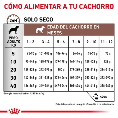 Tabla de alimentación para cachorros según peso adulto (5–40 kg) y edad en meses (1–12), cantidades diarias en gramos. Incluye recomendación de agua y energía metabolizable: 4235 kcal/kg.