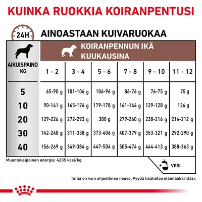 Ruokintaohje koiranpennulle: taulukko näyttää päivittäiset kuivaruoan määrät (g) aikuispainon (5–40 kg) ja iän (1–12 kk) mukaan. Esim. 10 kg, 3–4 kk: 165–176 g.