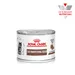 Royal Canin Veterinary Feline Gastrointestinal Kitten Ultra Soft Mousse