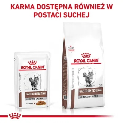 Royal Canin Gastrointestinal Moderate Calorie dla kotów, dostępna w postaci mokrej i suchej. Widoczne opakowania: saszetka i worek z ilustracją kota.