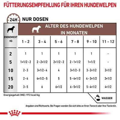 Fütterungsempfehlung für Hundewelpen: Endgewicht in kg und Alter in Monaten. Angaben sind Richtwerte, Energiegehalt 972 kcal/kg. Bei Fragen wenden Sie sich an Tierarzt oder Tierärztin.
