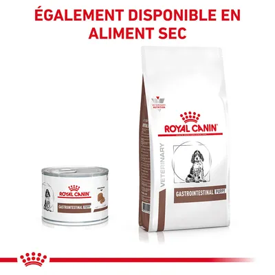 ROYAL CANIN GASTROINTESTINAL PUPPY, boîte et sac visibles. Texte : ÉGALEMENT DISPONIBLE EN ALIMENT SEC.