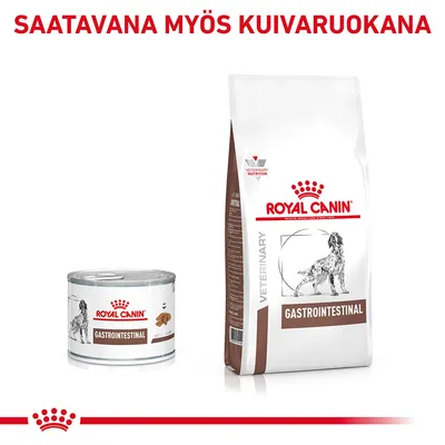 Royal Canin Gastrointestinal -koiran märkä- ja kuivaruoka. Teksti: SAATAVANA MYÖS KUIVARUOKANA. Pakkauksissa koirakuva ja tuotteen nimi.