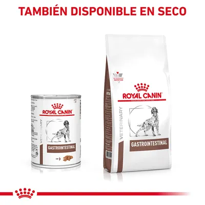 ROYAL CANIN GASTROINTESTINAL VETERINARY, lata y saco de comida para perros. Texto visible: 'TAMBIÉN DISPONIBLE EN SECO'. Imagen de perro en ambos envases.
