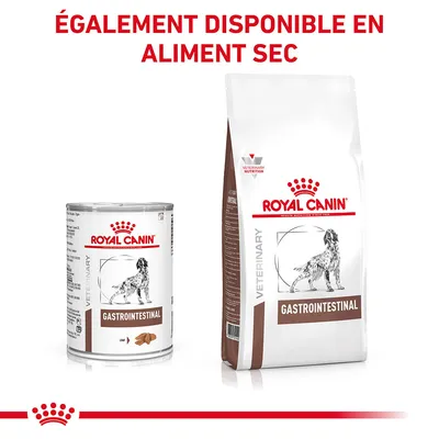 ROYAL CANIN GASTROINTESTINAL pour chien, boîte et sac visibles. Texte en haut : ÉGALEMENT DISPONIBLE EN ALIMENT SEC.
