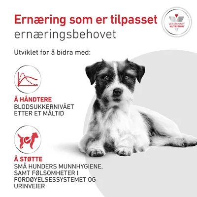 Royal Canin Veterinary Canine Glycobalance Small Dog Royal Canin Veterinary Canine Glycobalance Small Dog