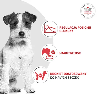 Royal Canin Veterinary Canine Glycobalance Small Dog