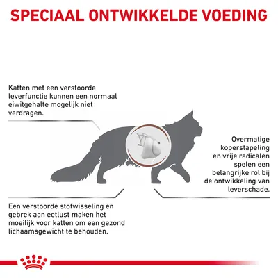 Speciaal ontwikkelde voeding. Katten met verstoorde leverfunctie verdragen mogelijk normaal eiwitgehalte niet. Overmatige koperstapeling en vrije radicalen veroorzaken leverschade.