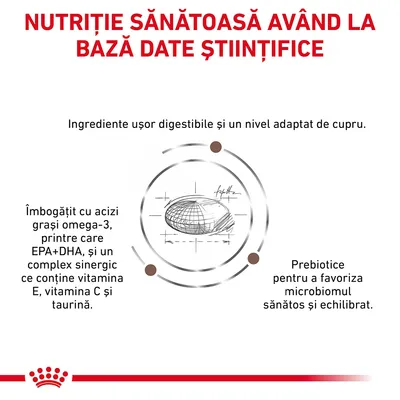 NUTRIȚIE SĂNĂTOASĂ AVÂND LA BAZĂ DATE ȘTIINȚIFICE. Ingrediente ușor digestibile, cupru adaptat, acizi grași omega-3 EPA+DHA, complex cu vitamina E, C, taurină, prebiotice pentru microbiom echilibrat.
