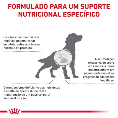 Formulado para um suporte nutricional específico. Texto: cães com insuficiência hepática podem ser intolerantes à proteína; metabolismo deficiente dificulta peso saudável; cobre e radicais livres afetam lesões hepáticas.