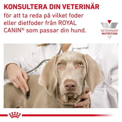 KONSULTERA DIN VETERINÄR för att ta reda på vilket foder eller dietfoder från ROYAL CANIN som passar din hund. VETERINARY NUTRITION.