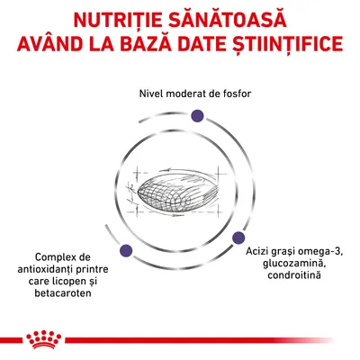 Nutriție sănătoasă având la bază date științifice. Nivel moderat de fosfor, complex de antioxidanți printre care licopen și betacaroten, acizi grași omega-3, glucozamină, condroitină.