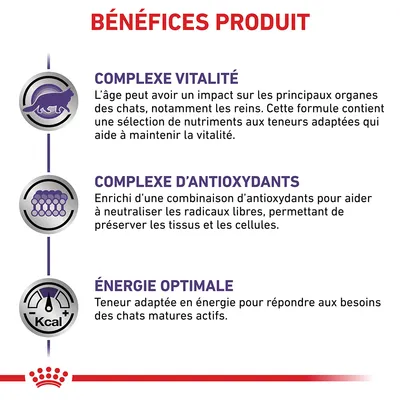 BÉNÉFICES PRODUIT : Complexe vitalité, complexe d’antioxydants, énergie optimale. Détails sur la vitalité, les antioxydants et l’énergie adaptée pour chats matures actifs.