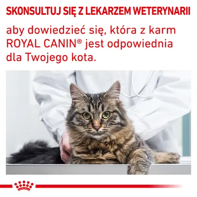 SKONSULTUJ SIĘ Z LEKARZEM WETERYNARII aby dowiedzieć się, która z karm ROYAL CANIN jest odpowiednia dla Twojego kota.