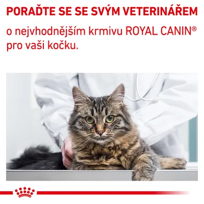 Text v češtine: PORAĎTE SE SE SVÝM VETERINÁŘEM o nejvhodnějším krmivu ROYAL CANIN pro vaši kočku. Mačka na vyšetrovacom stole, veterinár v bielom plášti.