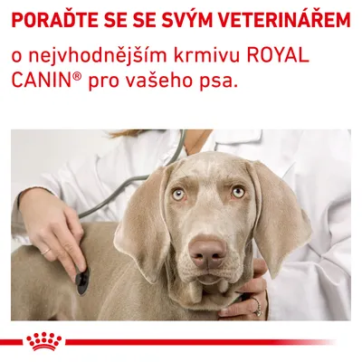 PORAĎTE SE SE SVÝM VETERINÁŘEM o nejvhodnějším krmivu ROYAL CANIN® pro vašeho psa.