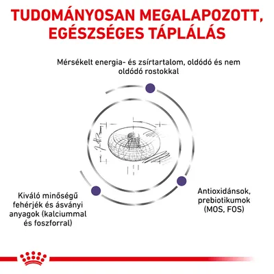 Tudományosan megalapozott, egészséges táplálás. Mérsékelt energia- és zsírtartalom, oldódó és nem oldódó rostok, kiváló minőségű fehérjék, kalcium, foszfor, antioxidánsok, prebiotikumok.