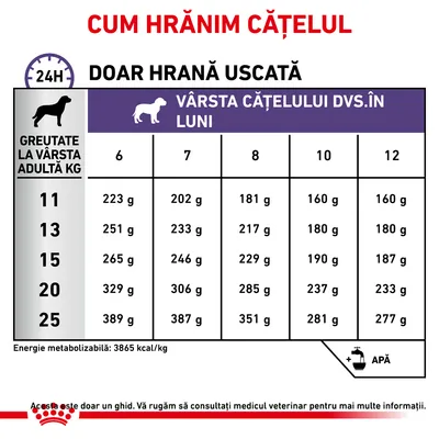 Tabel hrănire cățel: greutate adult 11–25 kg, vârsta 6–12 luni, cantități zilnice 160–389 g. Doar hrană uscată. Energie metabolizabilă: 3865 kcal/kg. Include simbol apă.