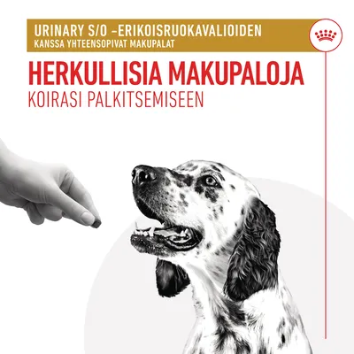URINARY S/O -erikoisruokavalioiden kanssa yhteensopivat makupalat. Herkullisia makupaloja koirasi palkitsemiseen.