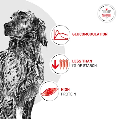 Royal Canin Veterinary Canine Glycobalance Low Carbohydrate Loaf