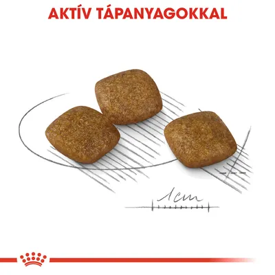 Három szögletes táp szem, alatta 1 cm-es méretjelzés. Felül: AKTÍV TÁPANYAGOKKAL felirat.