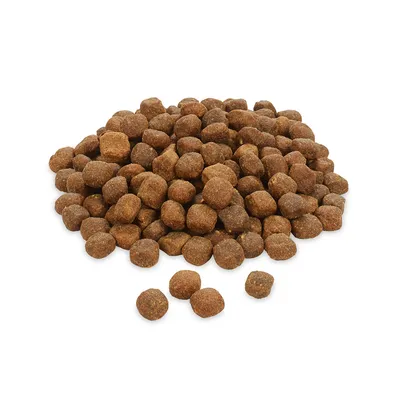 Braune, runde Trockenfutterstücke in loser Anordnung, geeignet für die Darstellung von Produktinhalt.