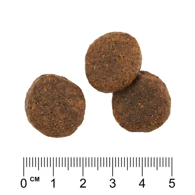 Drei runde braune Leckerlis mit Grössenangabe in Zentimetern, Skala von 0 bis 5 cm.
