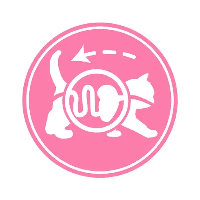 Pictogramme rose d’un chat avec un cercle montrant l’intestin et une flèche pointant vers la queue, symbole stylisé sans texte visible.