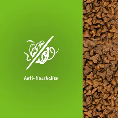 Anti-Haarballen. Symbol eines durchgestrichenen Haarballs neben einer Nahaufnahme von braunem Trockenfutter.